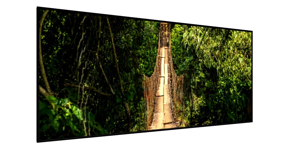 Quadro Ponte de madeira parque nacional brasil