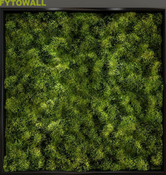 FYTOWALL moss small 3D Model