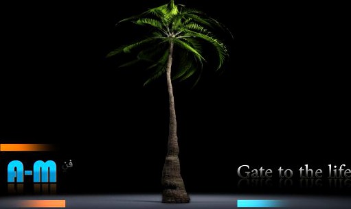 Animation Palm 3D Model