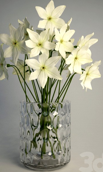 Vase Godkanna &amp; Narcissus