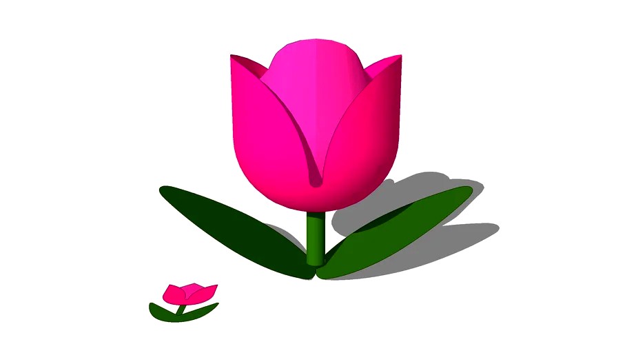 Tulip