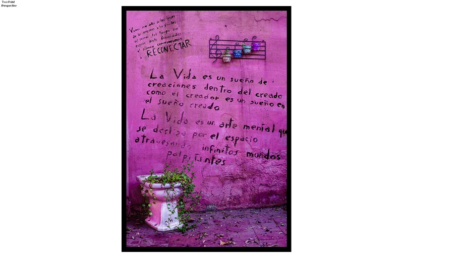 LA VIDA - NO HAY LÍMITES