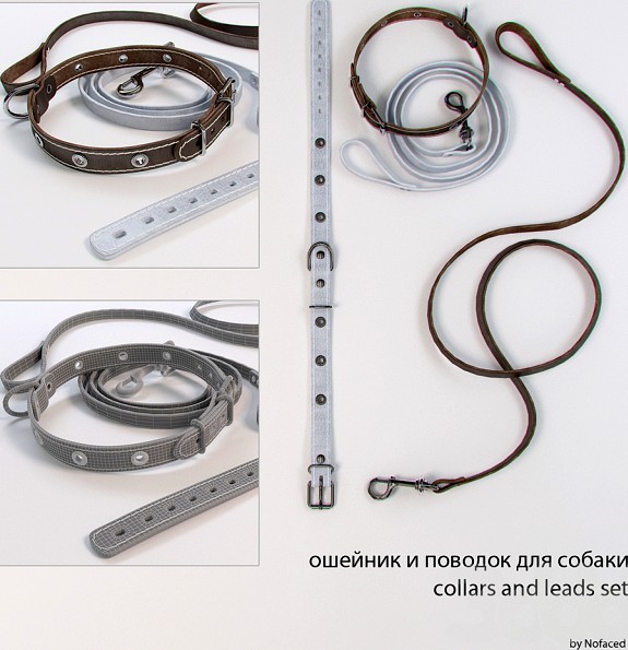 Ошейник и поводок для собак / collar and lead