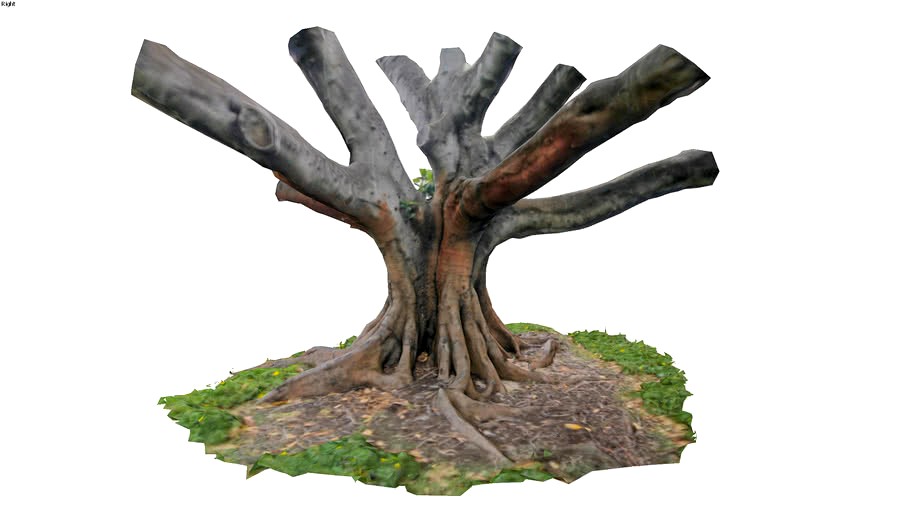 louis vuitton trunk 3D Model in Other 3DExport