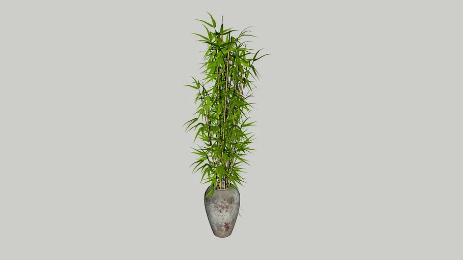 9-Foot Potted Bamboo Plant