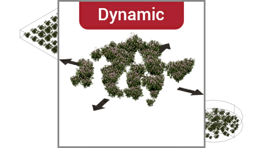 ROCKIT3D Syringa vulgaris 0.8 m pink (Lilac) dynamic