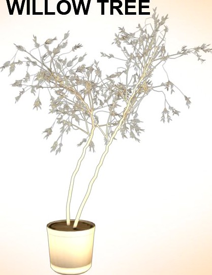 Willow Tree3d model