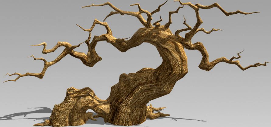 Dry Tree3d model