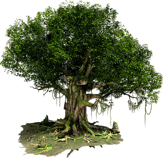 Fantastic Tree Model3d model