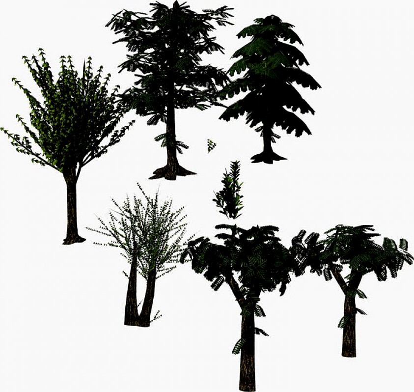 Tree Collection Use For Your Scenes3d model