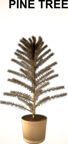 Pine Tree3d model