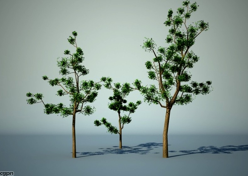 3D Tree collection3d model