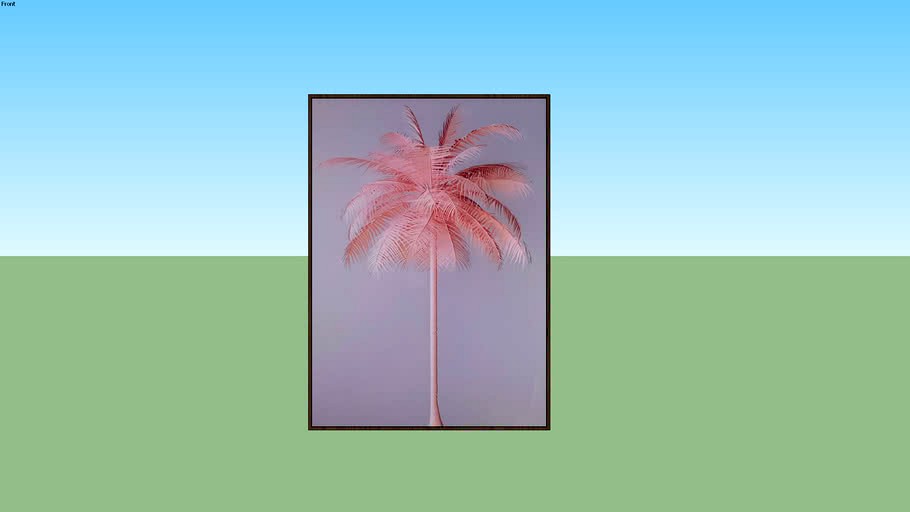 Coqueiro Rosa