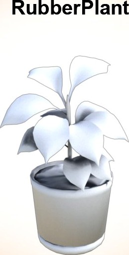 Rubber Plant3d model