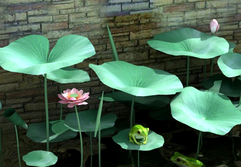 Pond Plants and Frog3d model