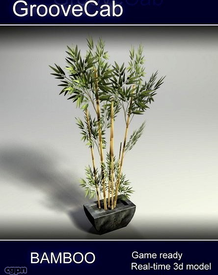 Bamboo Plant in Pot Low Poly3d model