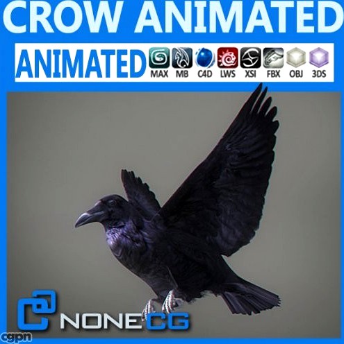 Animated Crow3d model