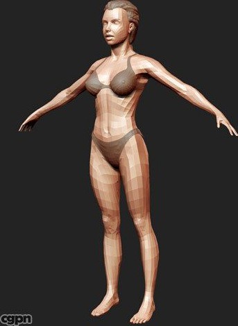 Basic woman in bikini3d model