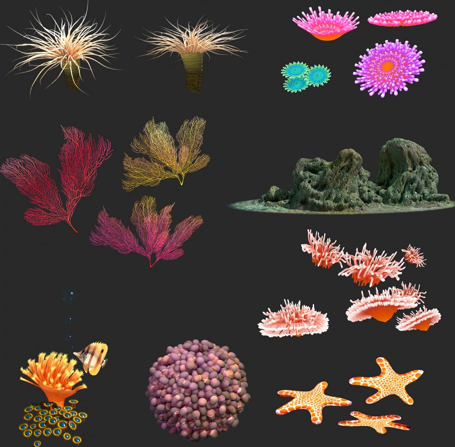 coral collection3d model