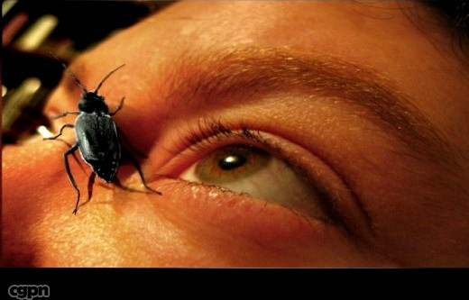 beetle3d model