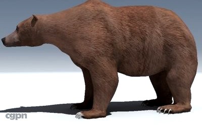 Grizzly Bear3d model