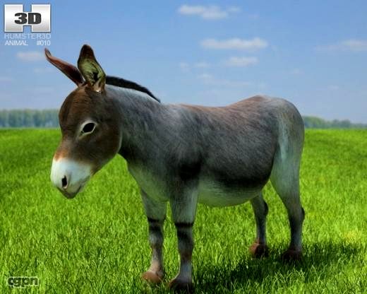 Donkey3d model