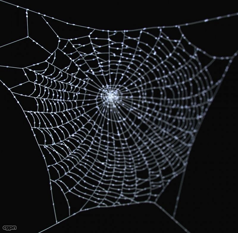 Spider Web3d model