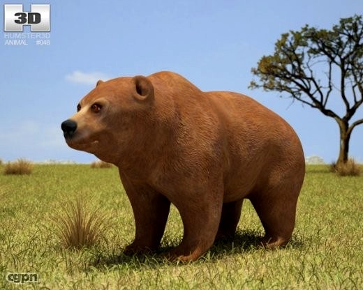 Grizzly Bear (Ursus Arctos Horribilis)3d model