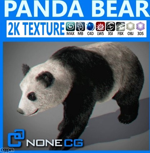 Panda Bear3d model