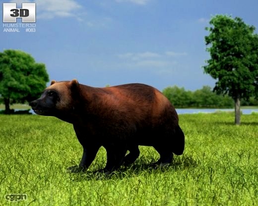Wolverine (Gulo Gulo)3d model