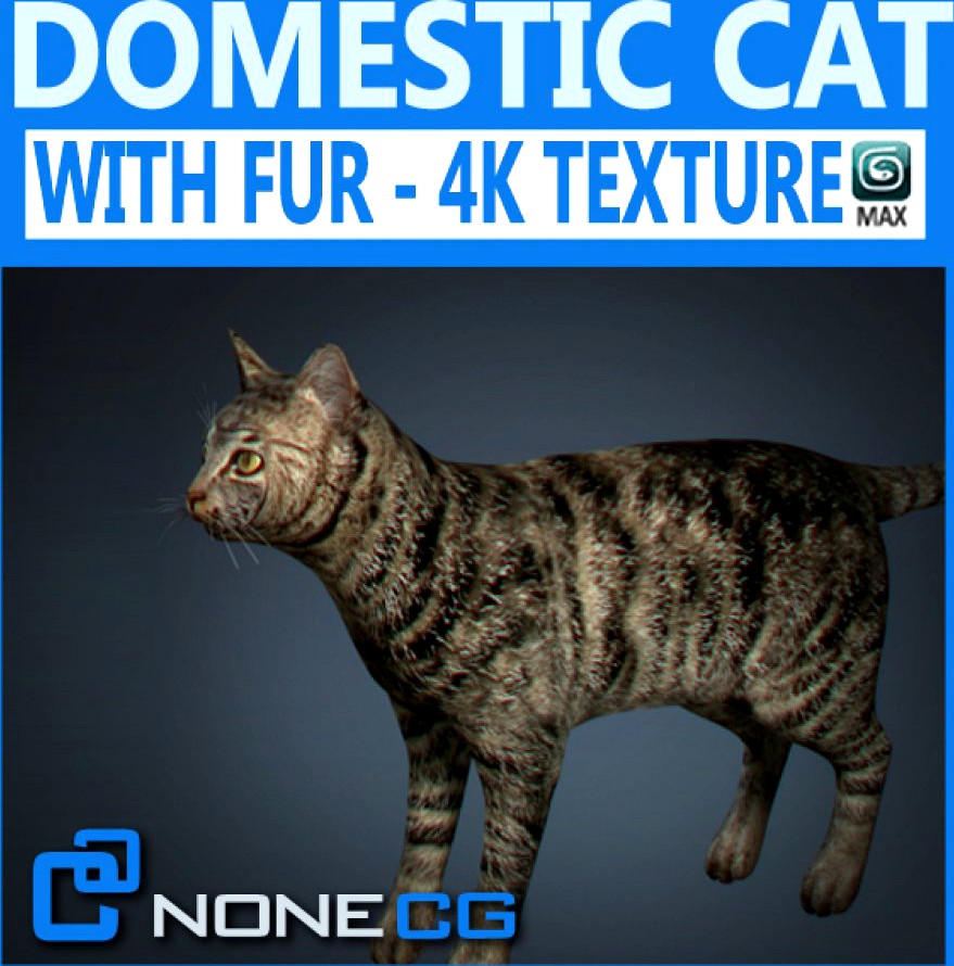 Domestic Cat - Fur3d model