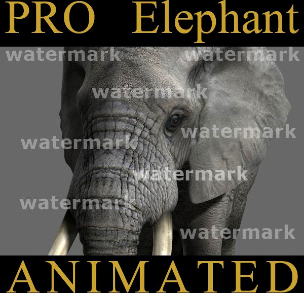PRO Elephant3d model