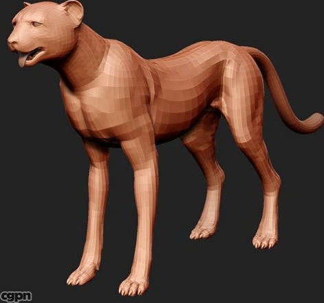 Cheetah base model3d model