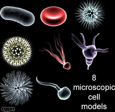 Micro Cell Collection 13d model