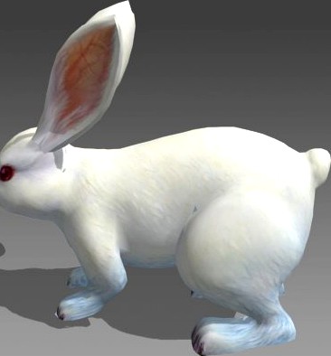 lowpoly rabbit3d model