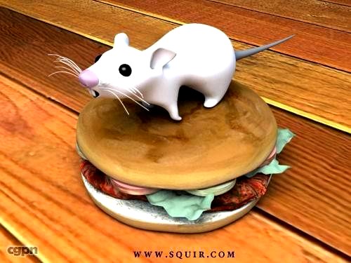 Mouse3d model