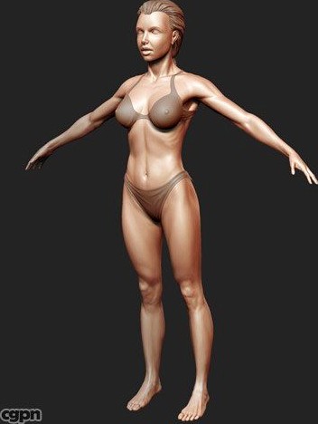 Woman Level 33d model