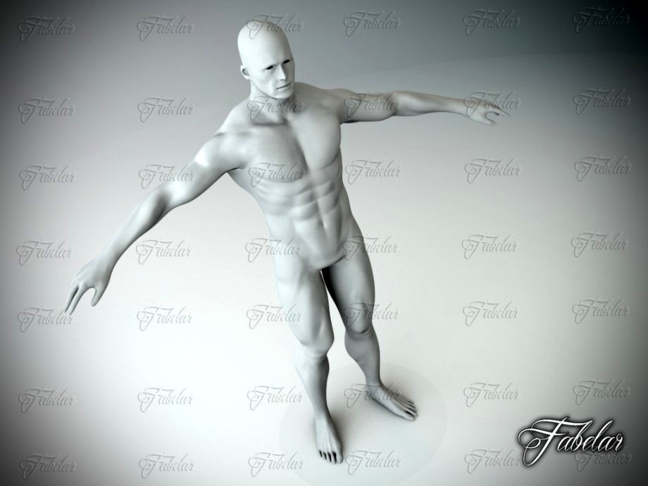 Male body Vray3d model