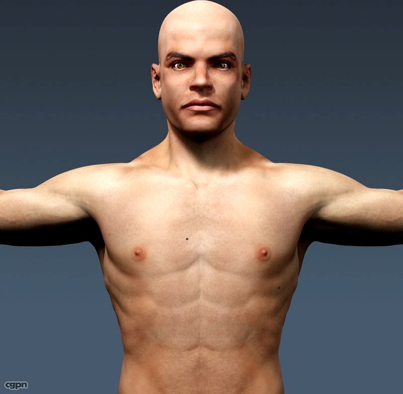 Human Male Body and Respiratory System Textured - Anatomy3d model