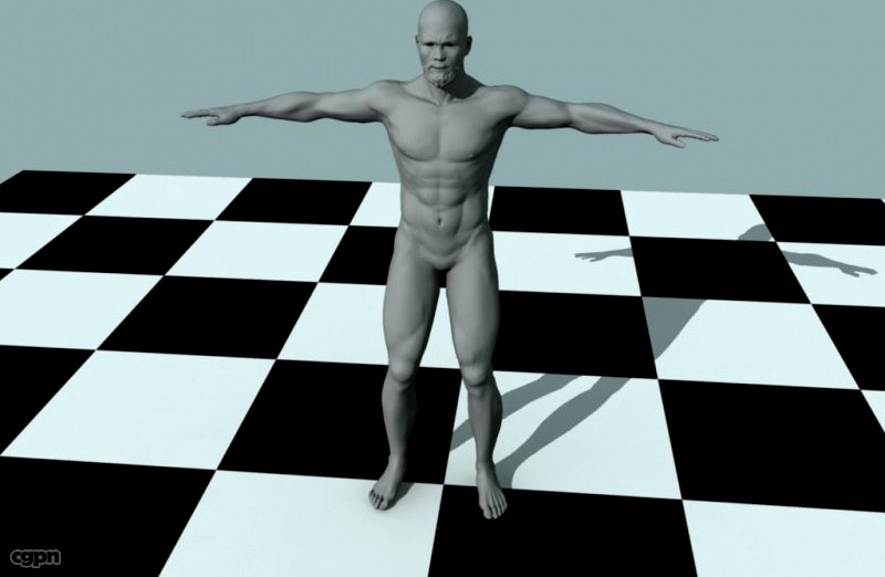 Man3d model