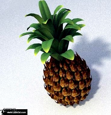 pineapple3d model