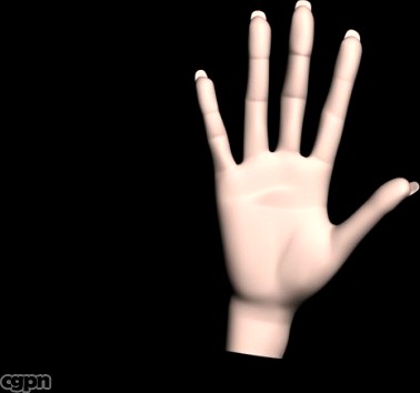 Human hand3d model
