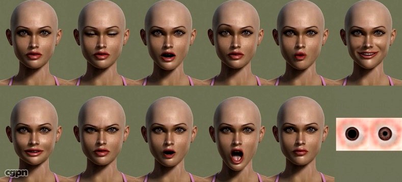 Cindy3d model