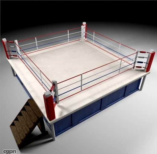 Box Arena3d model