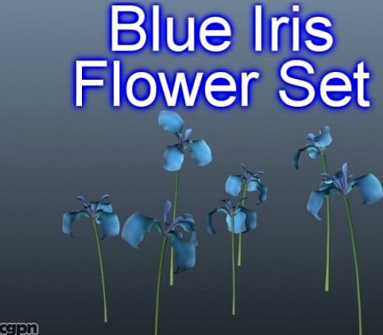 Blue Iris Set 0013d model