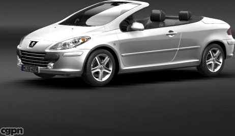 Peugeot 307 CC3d model