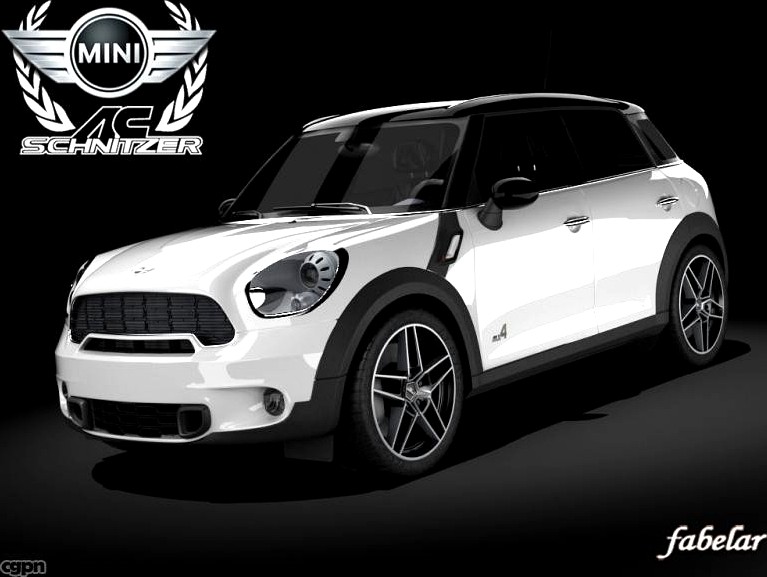 Mini Countryman Schnitzer3d model