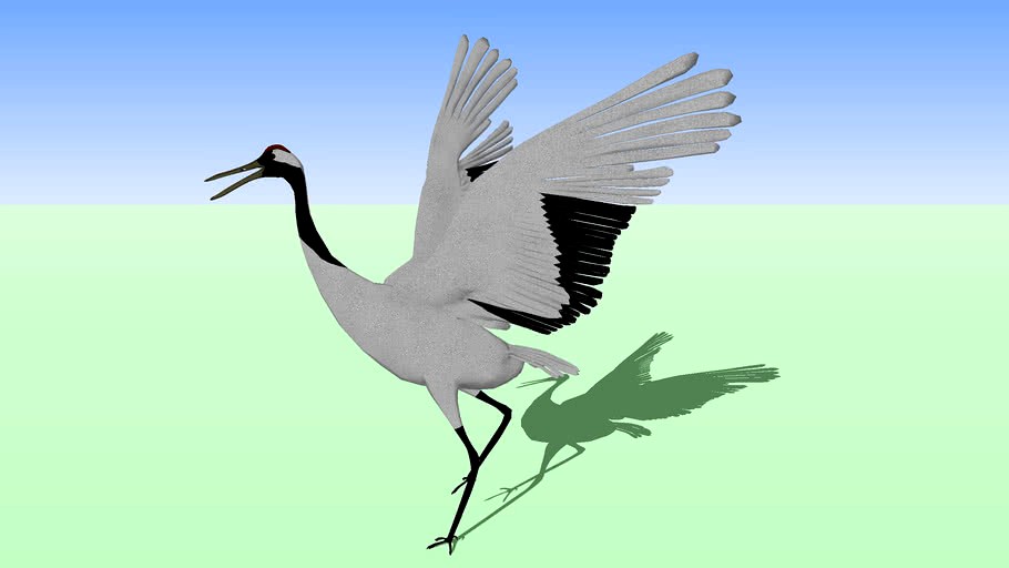 Red Crowned Crane