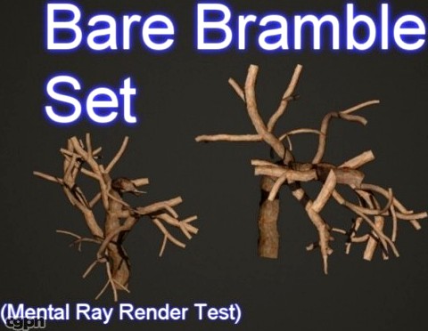 Bare Bramble Set 0013d model