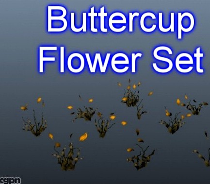 Buttercup Set 0013d model